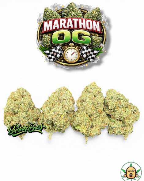Marathon OG