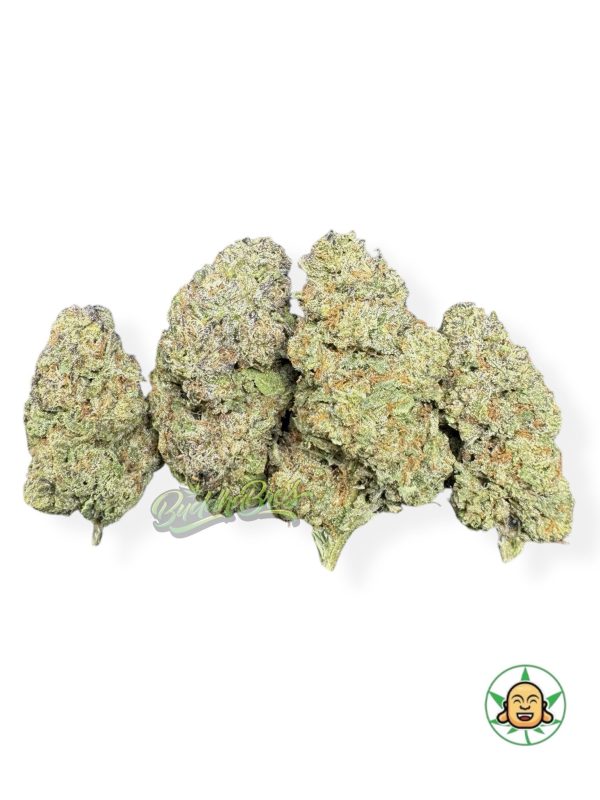 Blue Biscotti