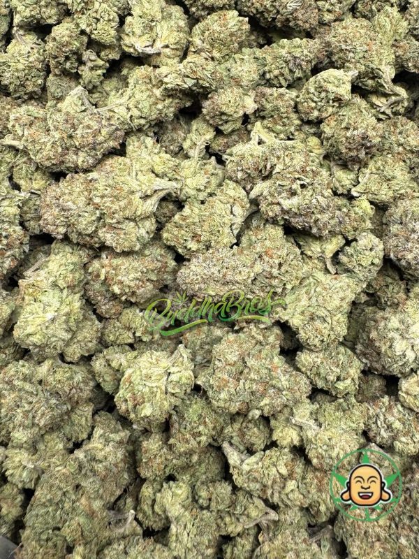 Blue Biscotti