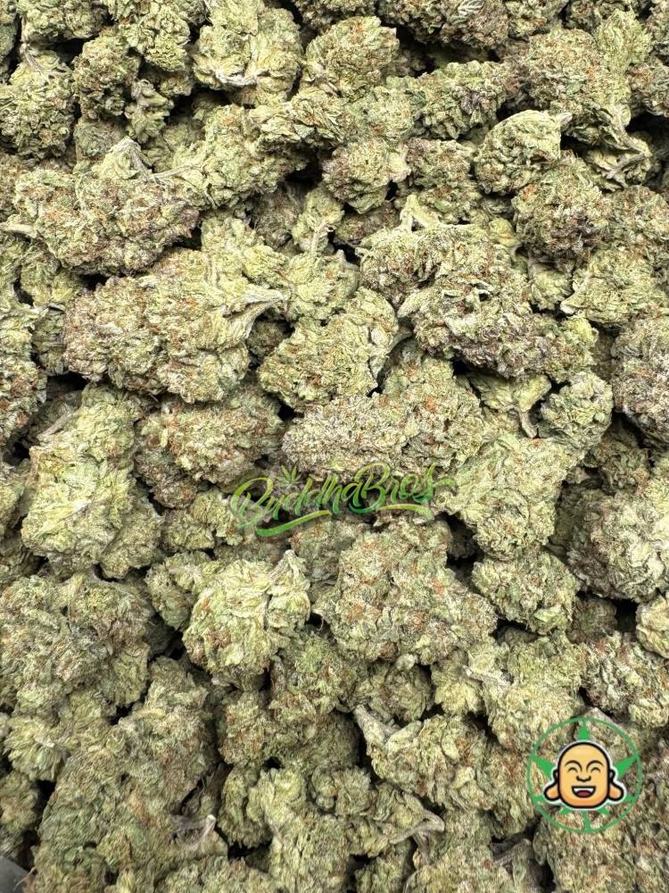 Blue Biscotti