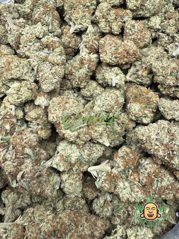 Candy Punch