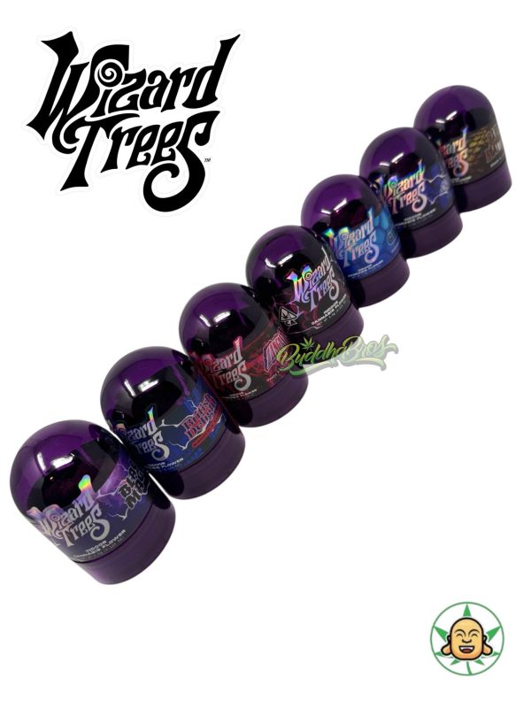 Wizard Trees (Prepackaged 3.5 Exotic Flower) - Image 2