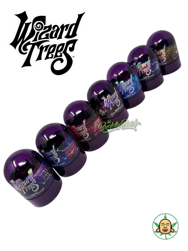 Wizard Trees (Prepackaged 3.5 Exotic Flower) - Image 2
