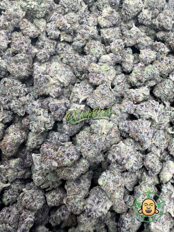 Purple D Smalls