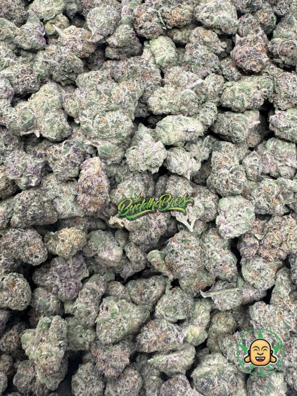 Tropical Gelato Smalls