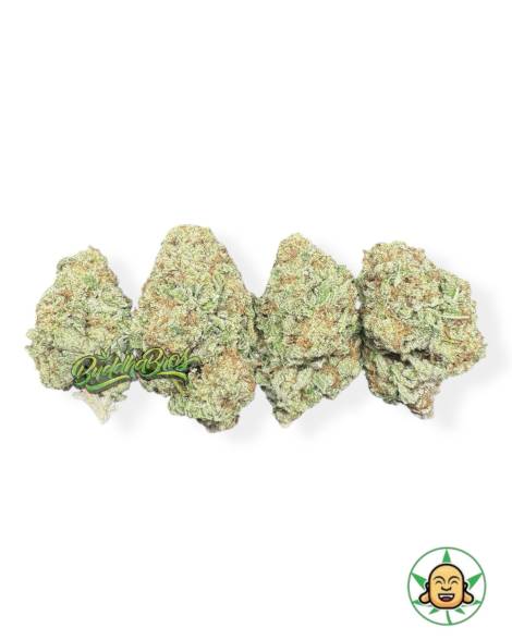 Gorilla Melon