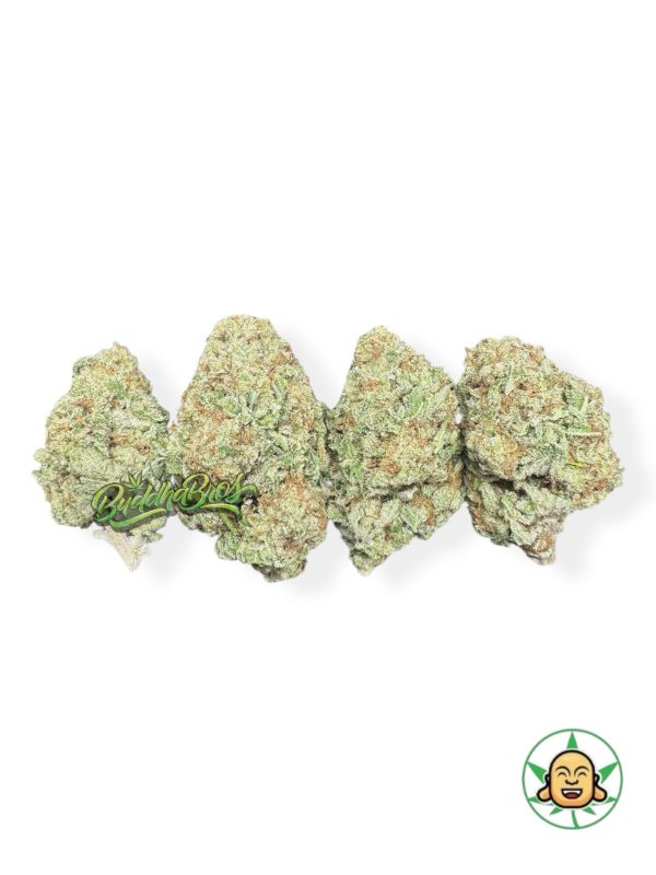 Gorilla Melon