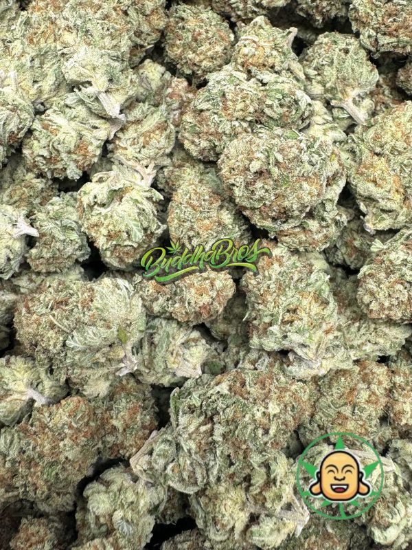 Gorilla Melon