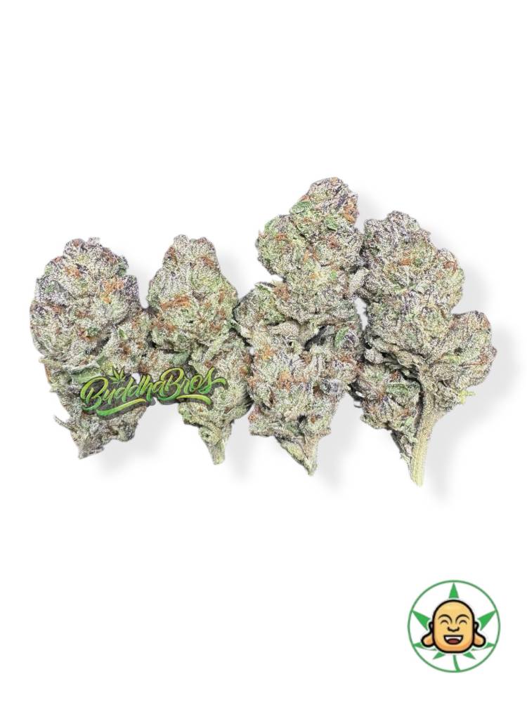 Purple Queen