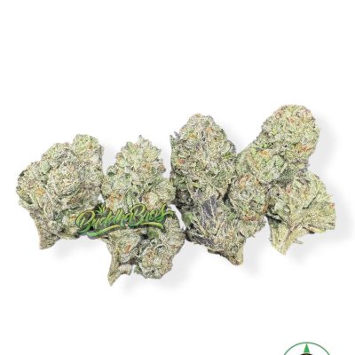 White Cherry Gelato