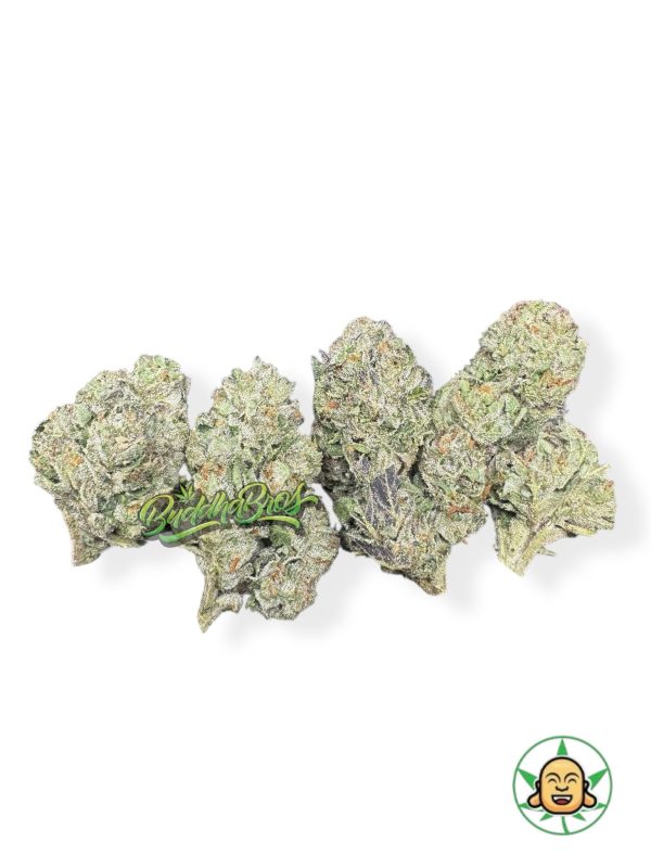 White Cherry Gelato