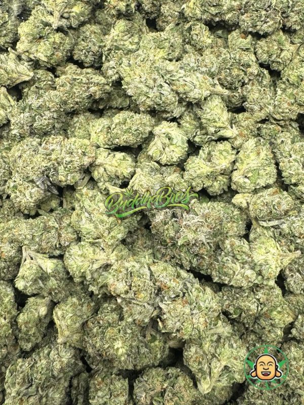 White Cherry Gelato