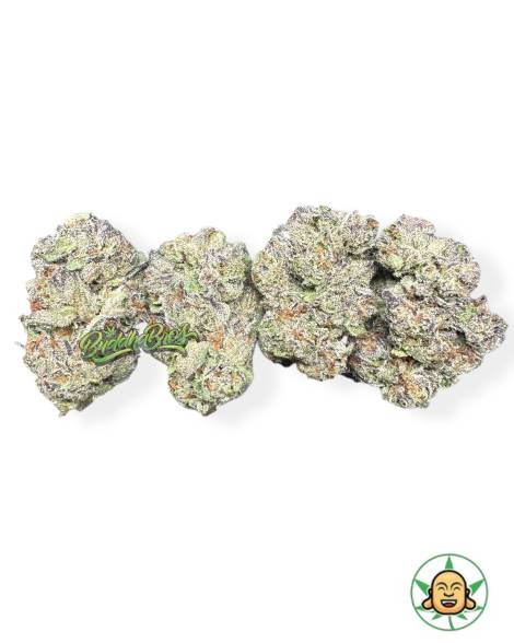 Sour Runtz