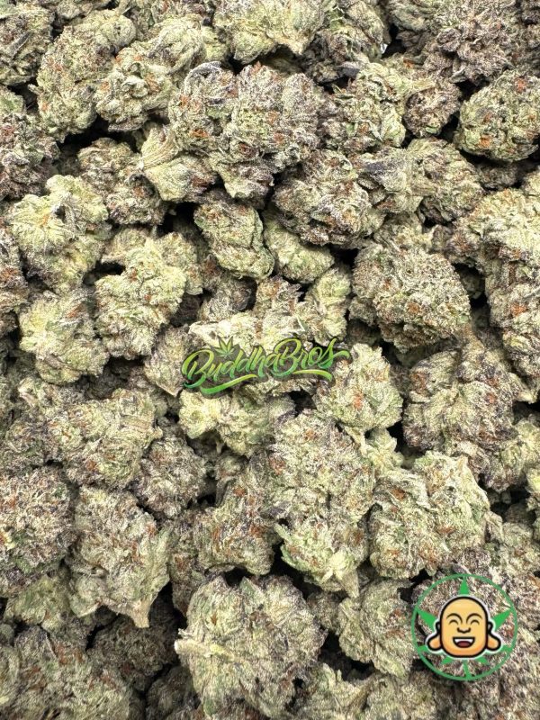 Sour Runtz