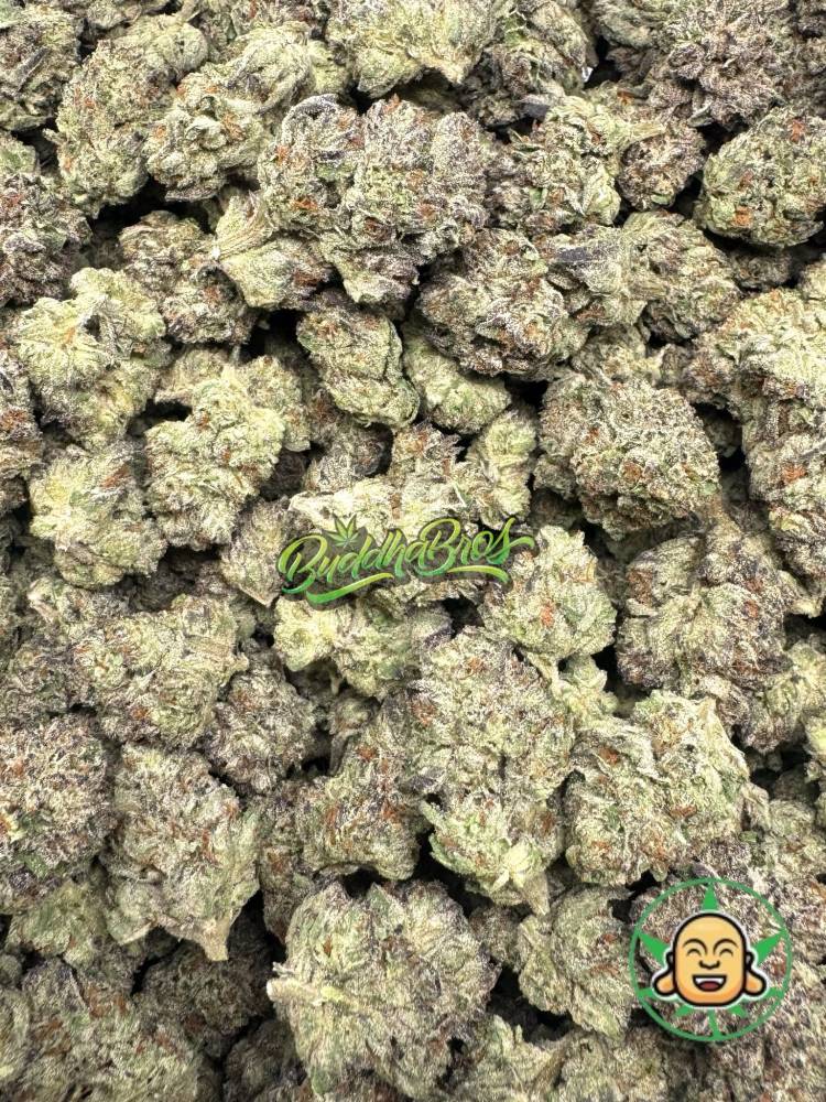 Sour Runtz
