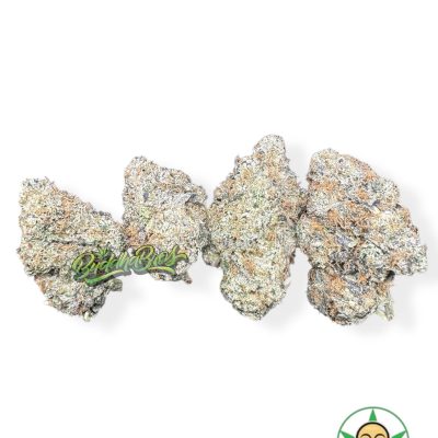 White Gumbo