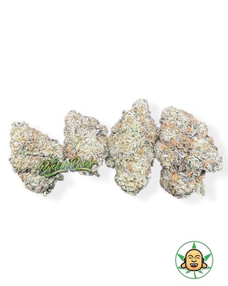 White Gumbo