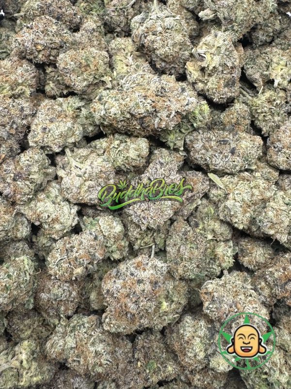 White Gumbo