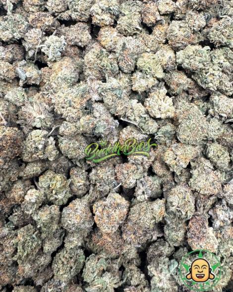 Gelato 33 (Smalls)