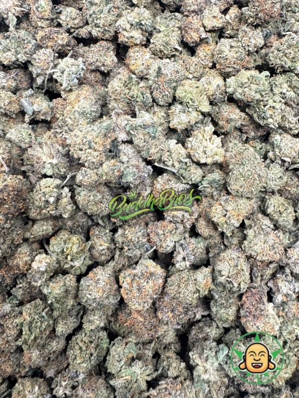 Gelato 33 (Smalls)