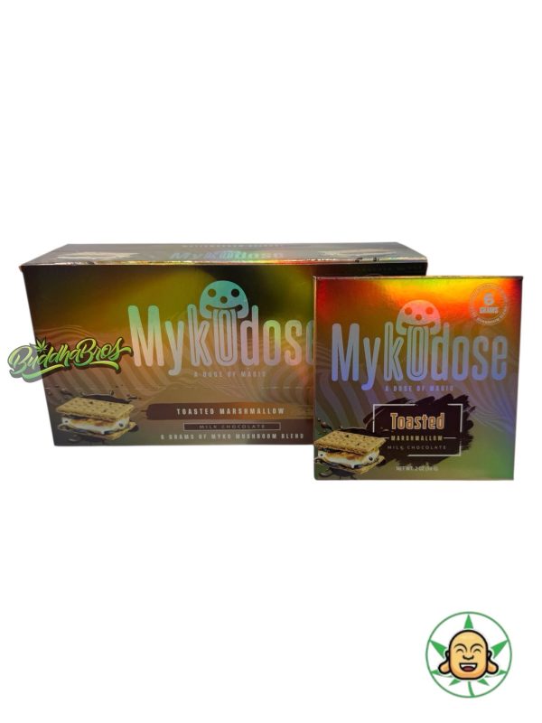 Mykodose (Chocolate Mushroom Bar) - Image 3
