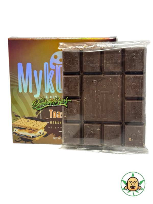 Mykodose (Chocolate Mushroom Bar) - Image 2