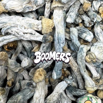 Mushrooms - Albino Penis Envy