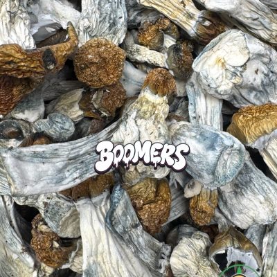 Mushrooms - Penis Envy