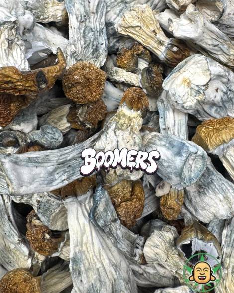 Mushrooms - Penis Envy