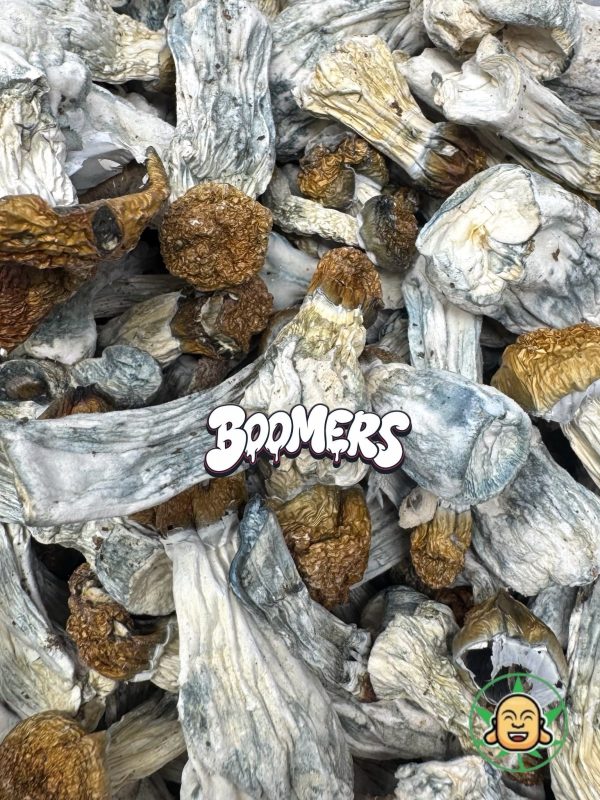 Mushrooms - Penis Envy