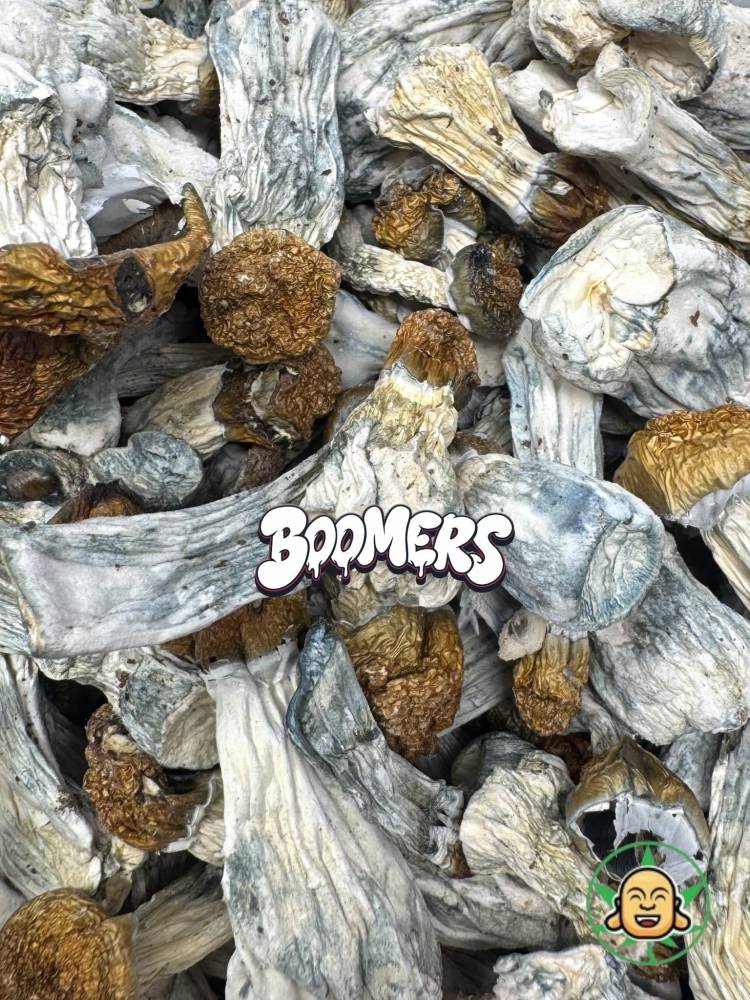 Mushrooms - Penis Envy