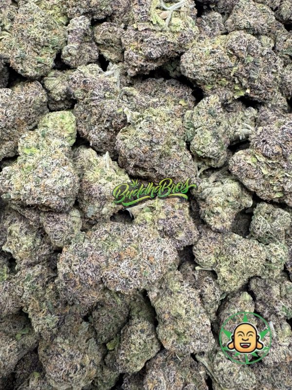 Blue Nerds - Image 2