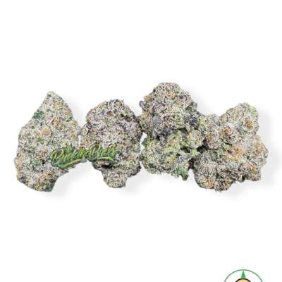Biscotti x Runtz