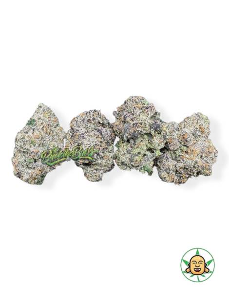 Biscotti x Runtz