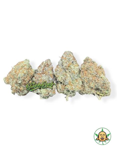 Godfather OG