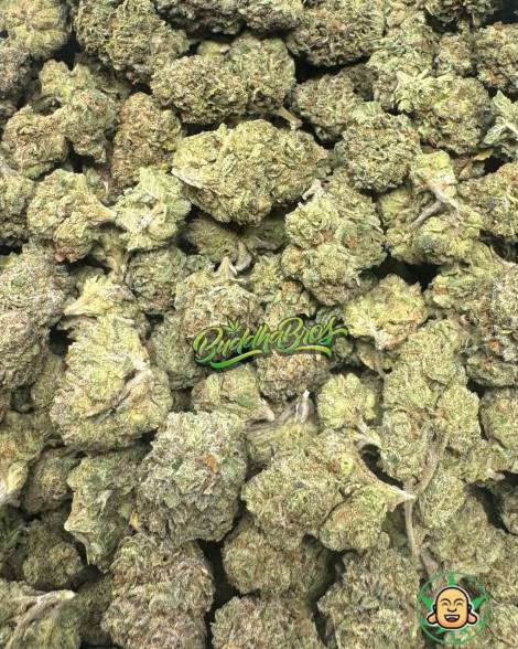 Kushmintz Mediums