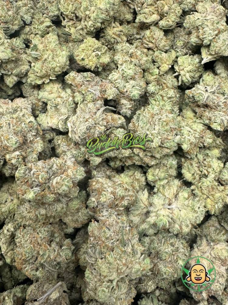 Lava Cake