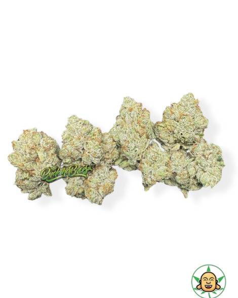 SFV OG