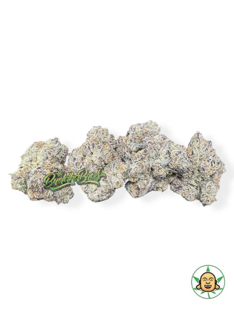 Pineapple Beltz