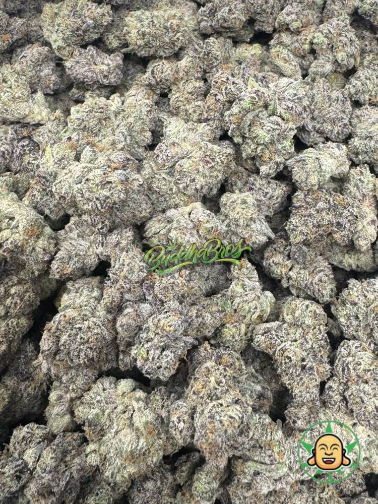 Pineapple Beltz