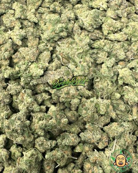 Blue Dream Mediums