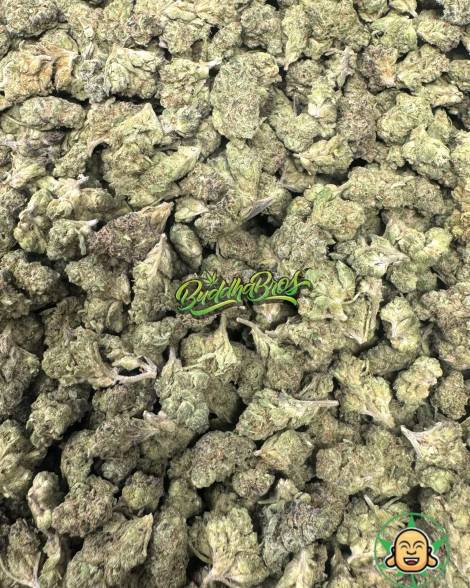 Frosted Gelato Smalls