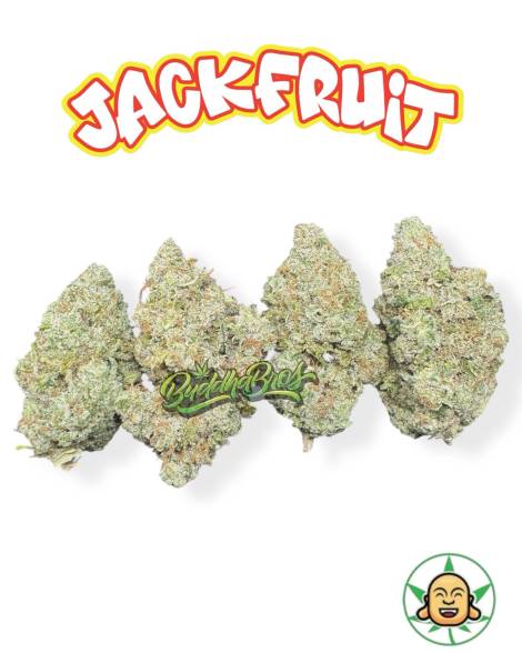 Jackfruit