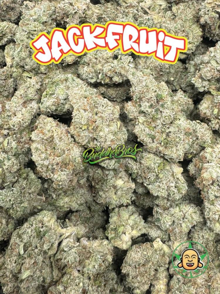 Jackfruit