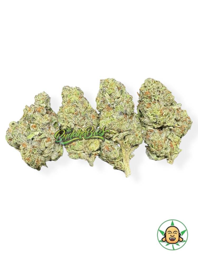 Purple Candy