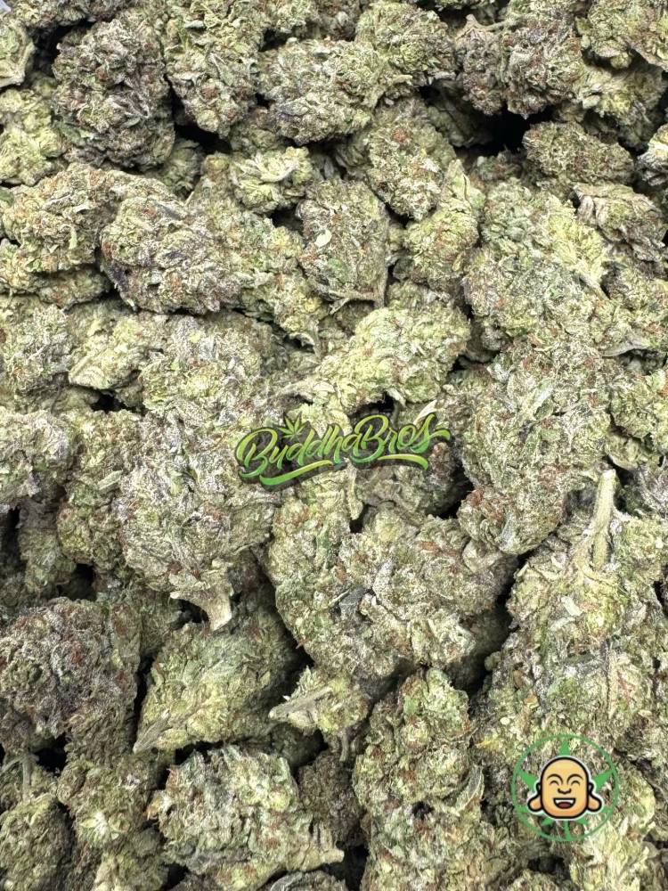 Purple Candy