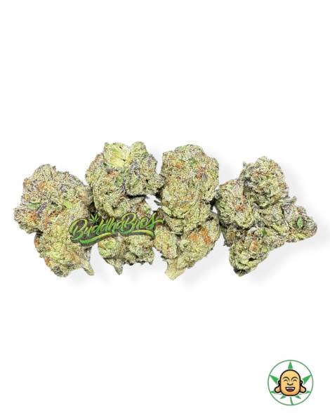 Candyland