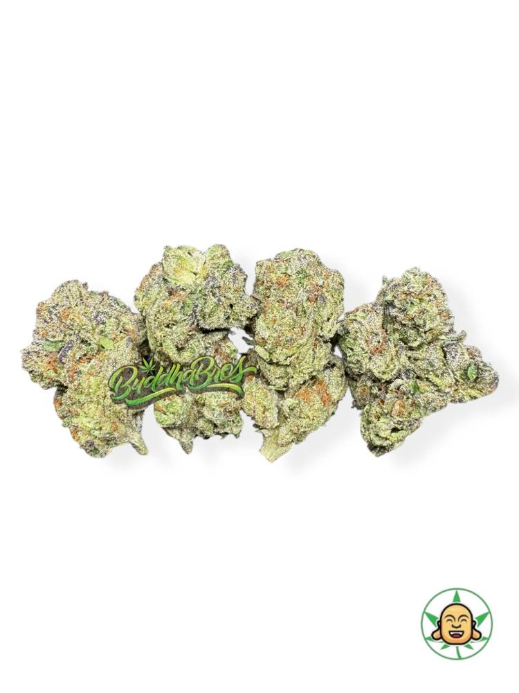 Candyland
