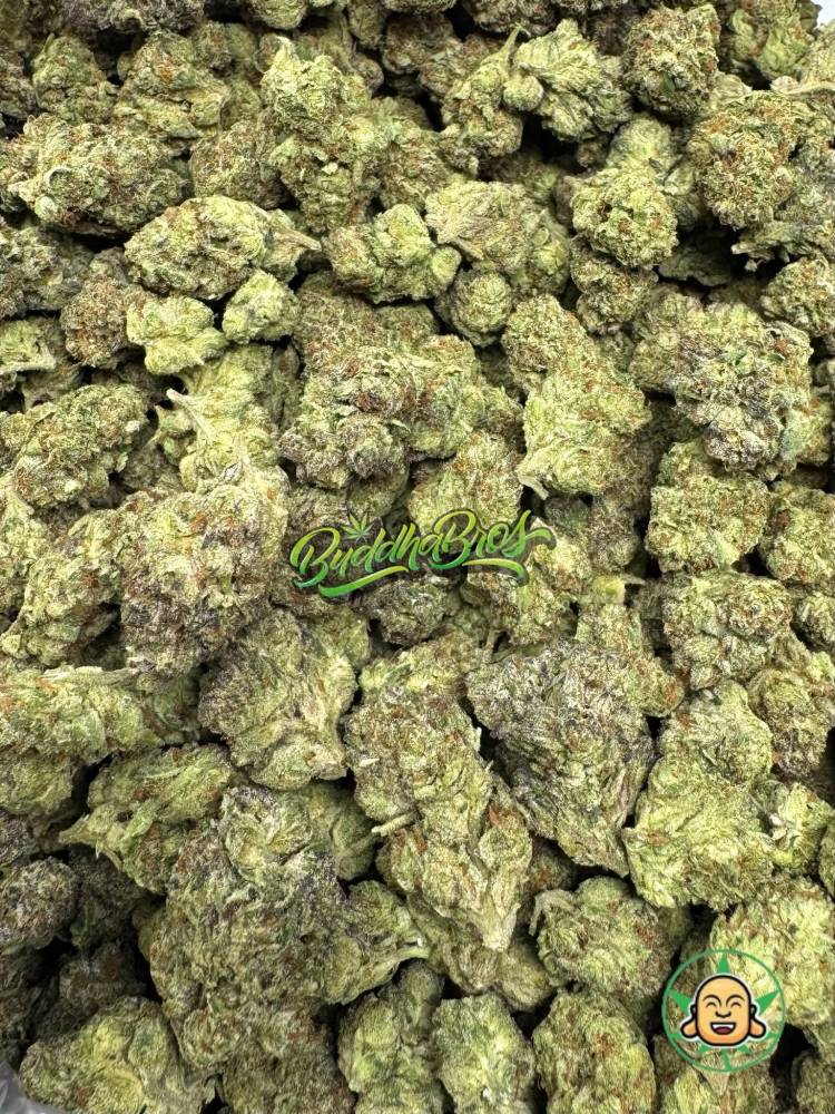 Candyland