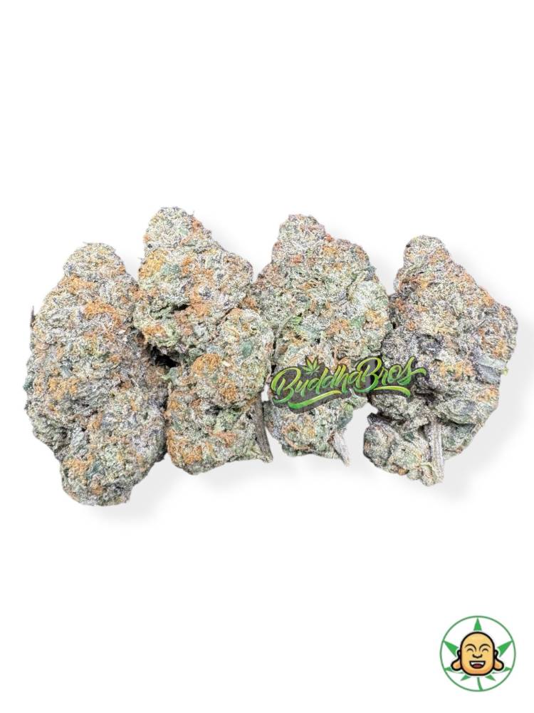 Bacio Gelato